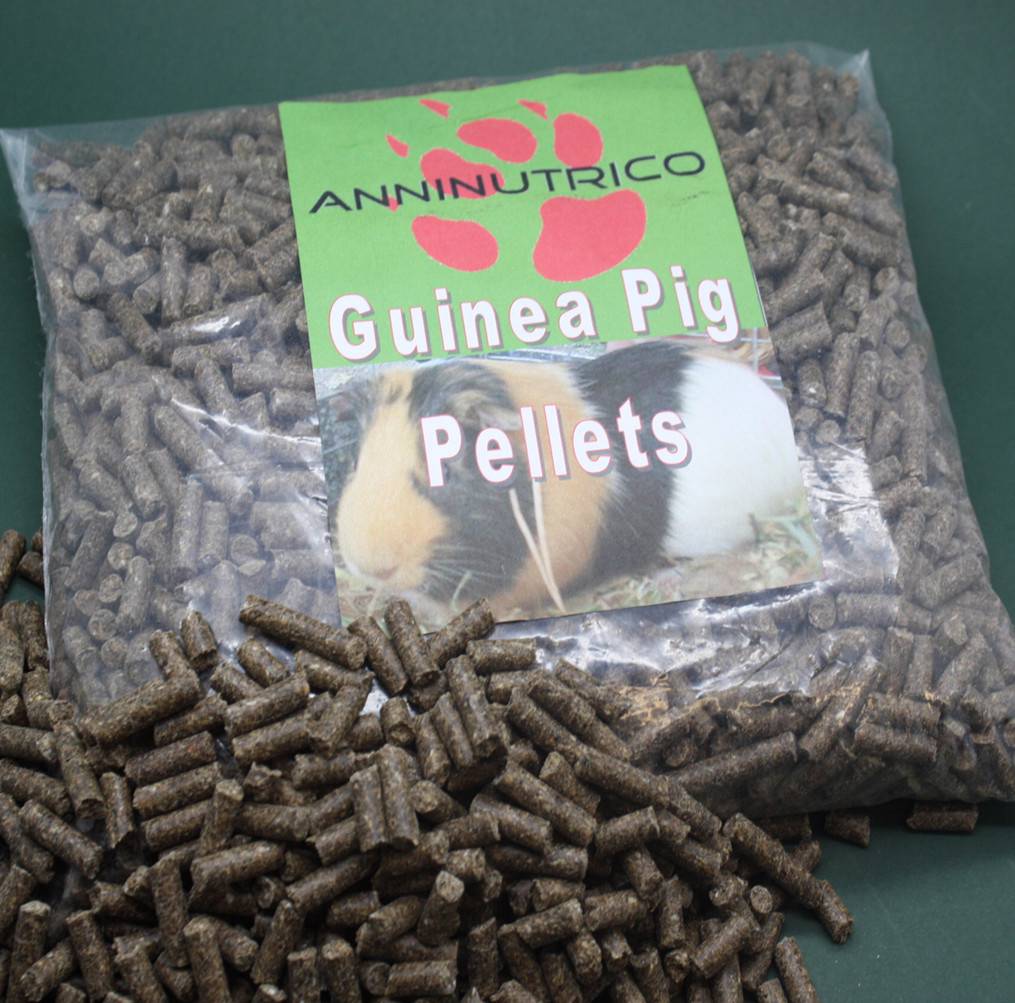ANINUTRICO GUINEA PIG FOOD PELLETS 2mm or 6mm SCIENTIFIC DIET FEED