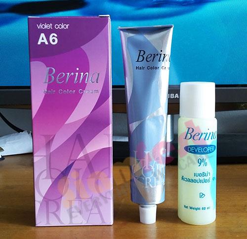 847847170_o 847847170_o Berina Permanent Color Hair Dye Cream Violet # A6 Free Shipping!! 847847170 o