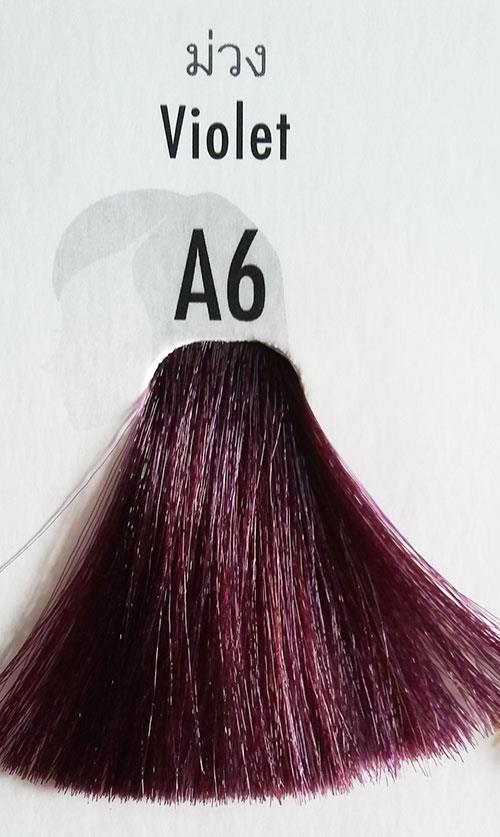 847847192_o 847847192_o Berina Permanent Color Hair Dye Cream Violet # A6 Free Shipping!! 847847192 o