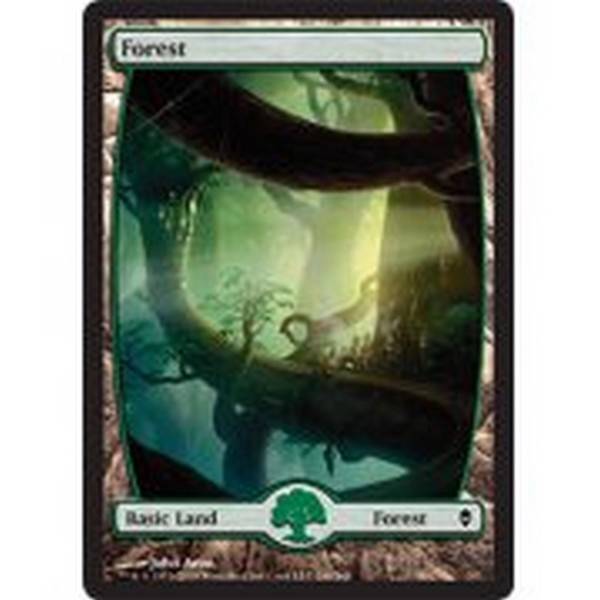 MTG *Choose Your Zendikar Full Art Basic Lands!* - Picture 6 of 21