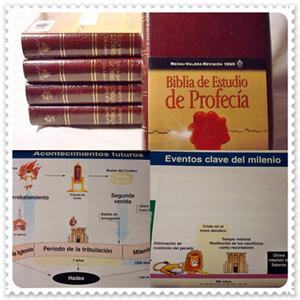 biblia de la profecia tim lahaye pdf books biblia de la profecia tim lahaye pdf books