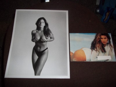 Playboy Magazine Nudes on Cindy Crawford 8 X 10 Photo   Sexy Beach Pose Postcard   Ebay