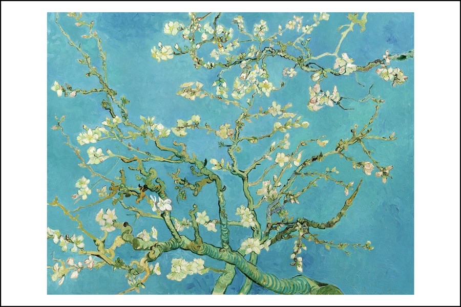 Poster Affiche Peinture VAN Gogh Amandier EN Fleurs 1890 Neuf eBay Poster Affiche Peinture VAN Gogh Amandier EN Fleurs 1890 Neuf eBay