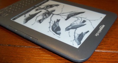 Keywords   Kindle   Kindle on Amazon Kindle D00901 Wireless Ebook 3g Wifi Reader   Ebay
