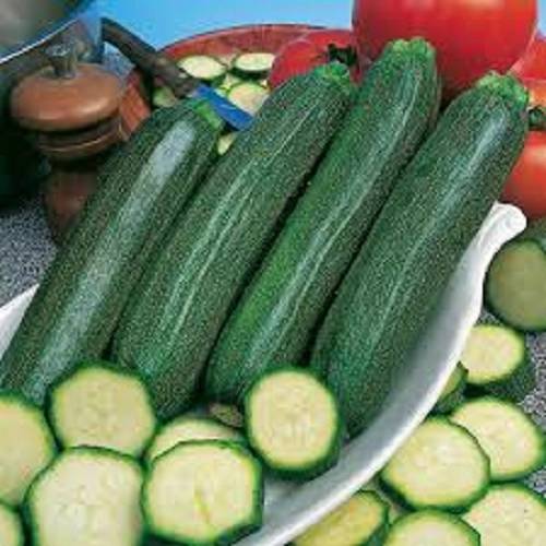 COURGETTE GREEN BUSH F1 25 TO 1,000 SEEDS Fresh seeds BULK - Picture 1 of 5