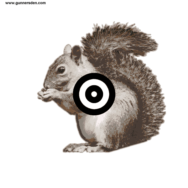 900 Printable Targets Shooting Air Pistol BB Gun Archery Paint Ball