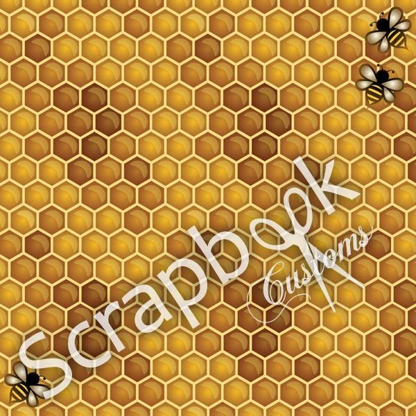 1 12x12 Sheet Scrapbook Customs PAPER Bumble Bee Honey