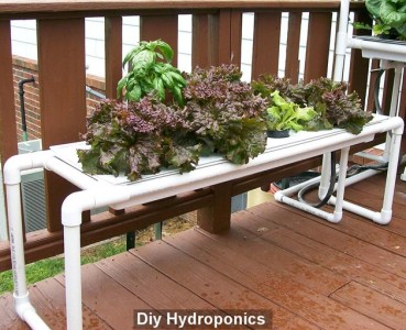 DIY HYDROPONICS AQUAPONIC SYSTEMS HOW TO PLANS Gardening ...