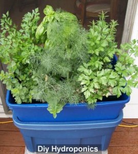 DIY HYDROPONICS AQUAPONIC SYSTEMS HOW TO PLANS Gardening, Kit | eBay