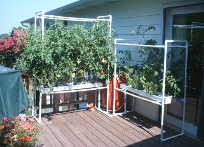 DIY HYDROPONICS AQUAPONIC SYSTEMS HOW TO PLANS Gardening ...