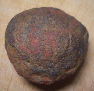 dinosaur feces fossil