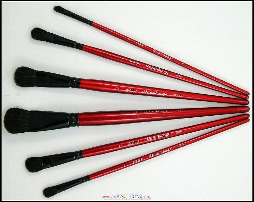 Chinese Japanese paint brush set 6pcs wood pole goat hair width 206mm