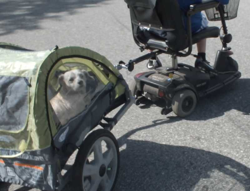 JCV PET TRAILER & tow hitch for pulling with a electric mobility