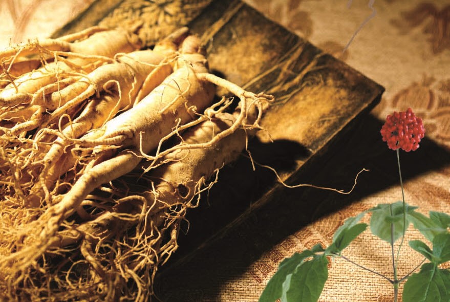 Athentic Real Korean Red ginseng Roots Earth Cut Good Ginseng CheongKwanJang