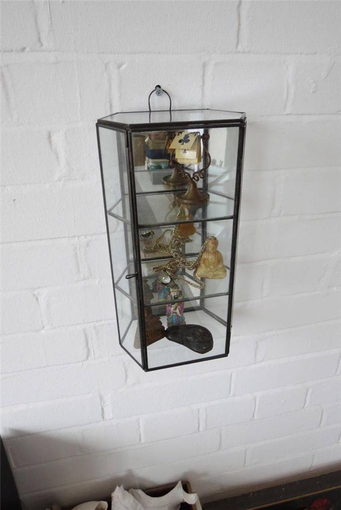 Wall Display Case Glass Table Jewellery Trinket Thimble Curio