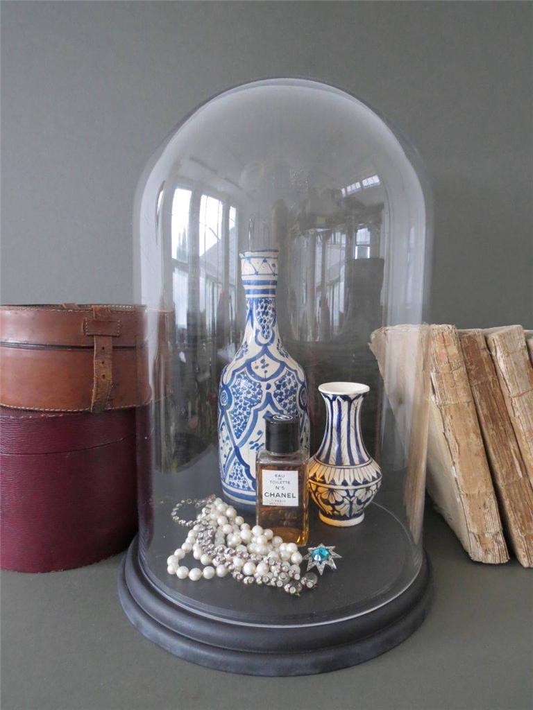 Glass Display Dome Taxidermy Cloche Bell Jar Extra Large eBay