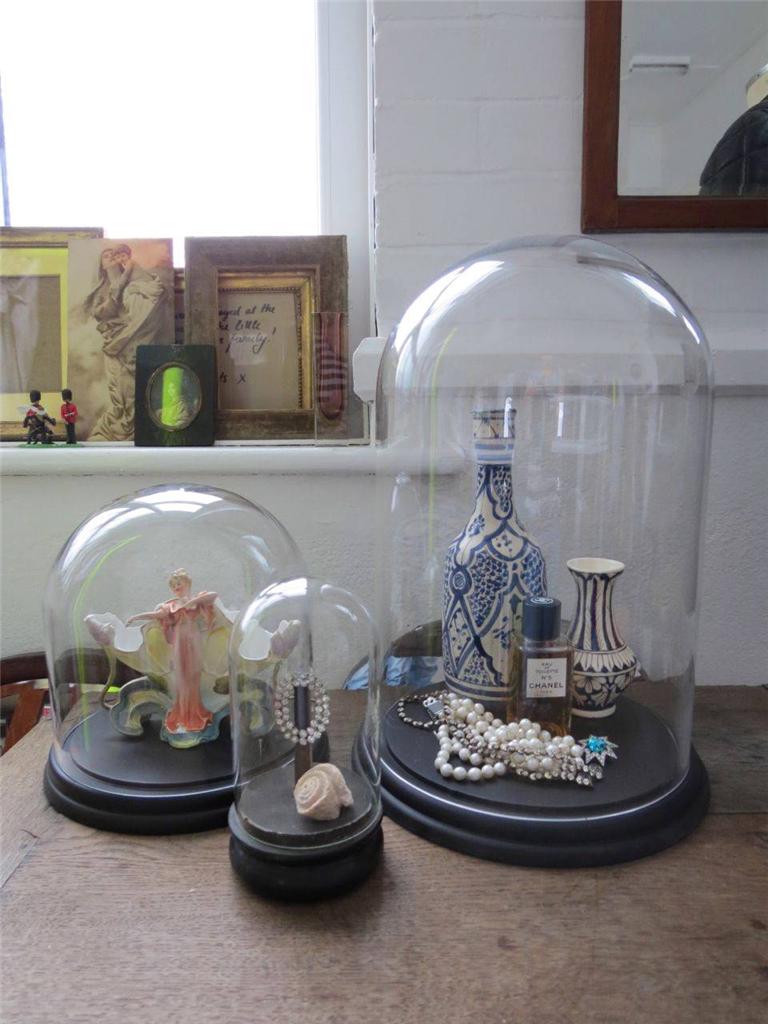 Glass Display Dome Taxidermy Cloche Bell Jar Extra Large eBay