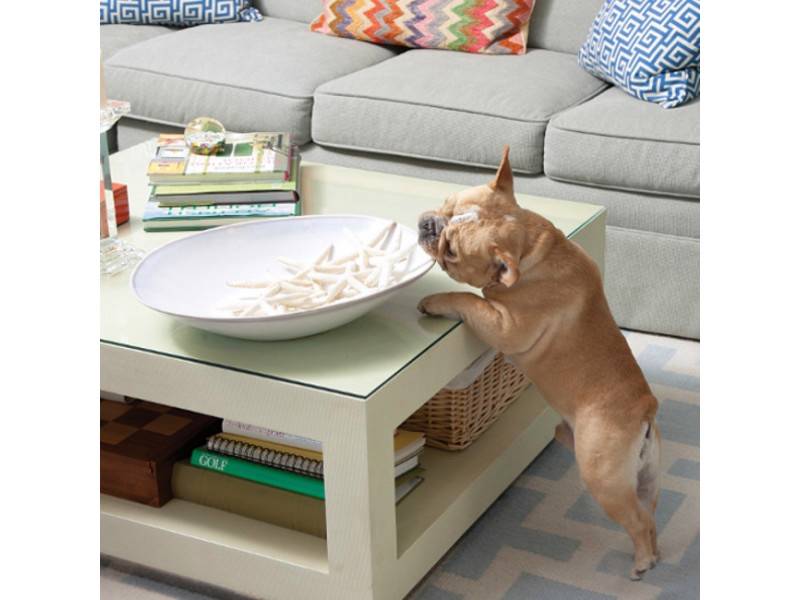 Pawz Away Dog Cat Pet Mini Pet Barrier Instant Indoor ...