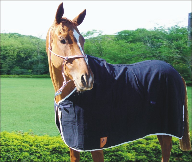 Capriole Melton Wool Navy Winter Horse Rug Navy Underrugs eBay