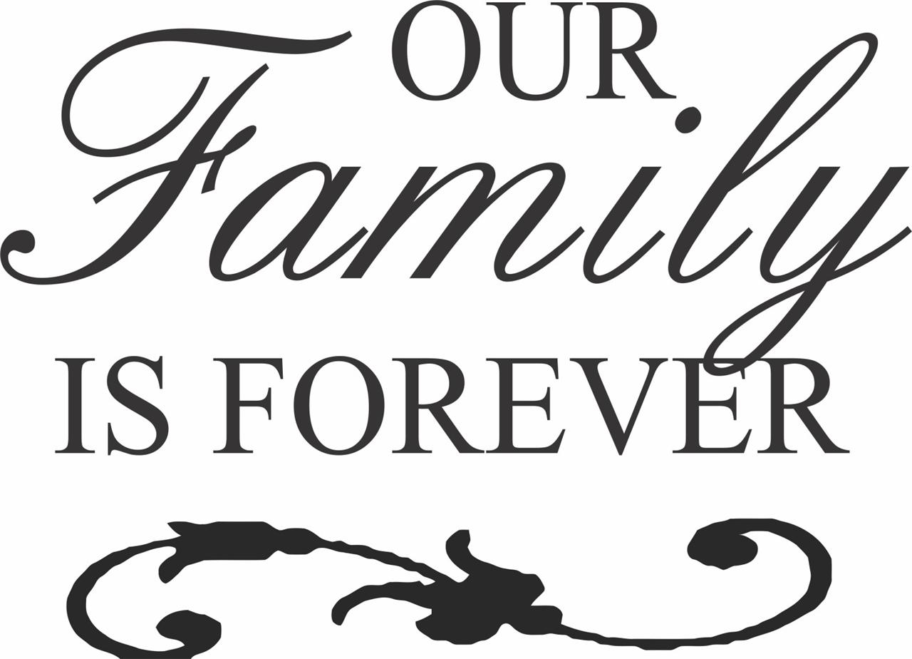 Removable Vinyl Wall Decal "Our Family Is Forever" 22"x16" Home 22 eBay