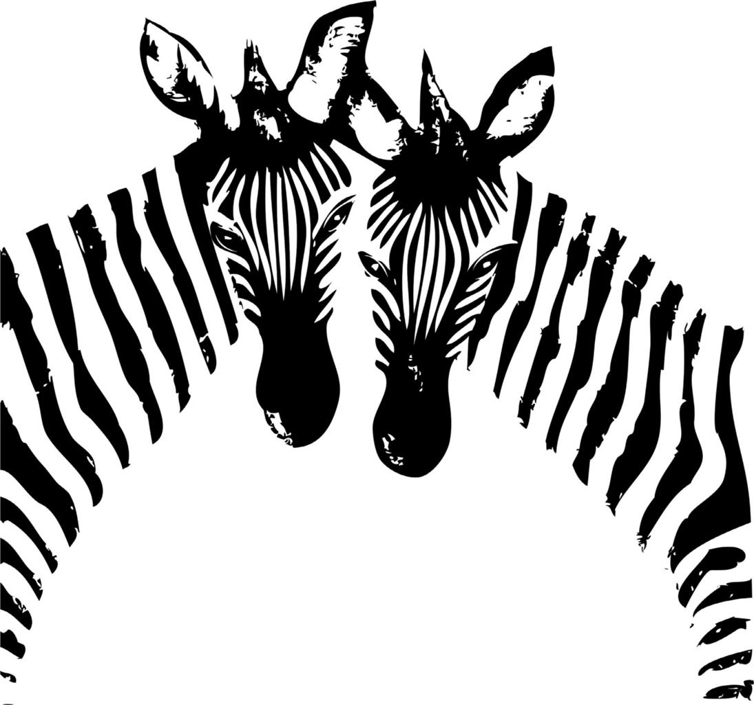 Zebra Vinyl Decal Stripes Sticker Children Nursery 20"x20" Animal 24 eBay