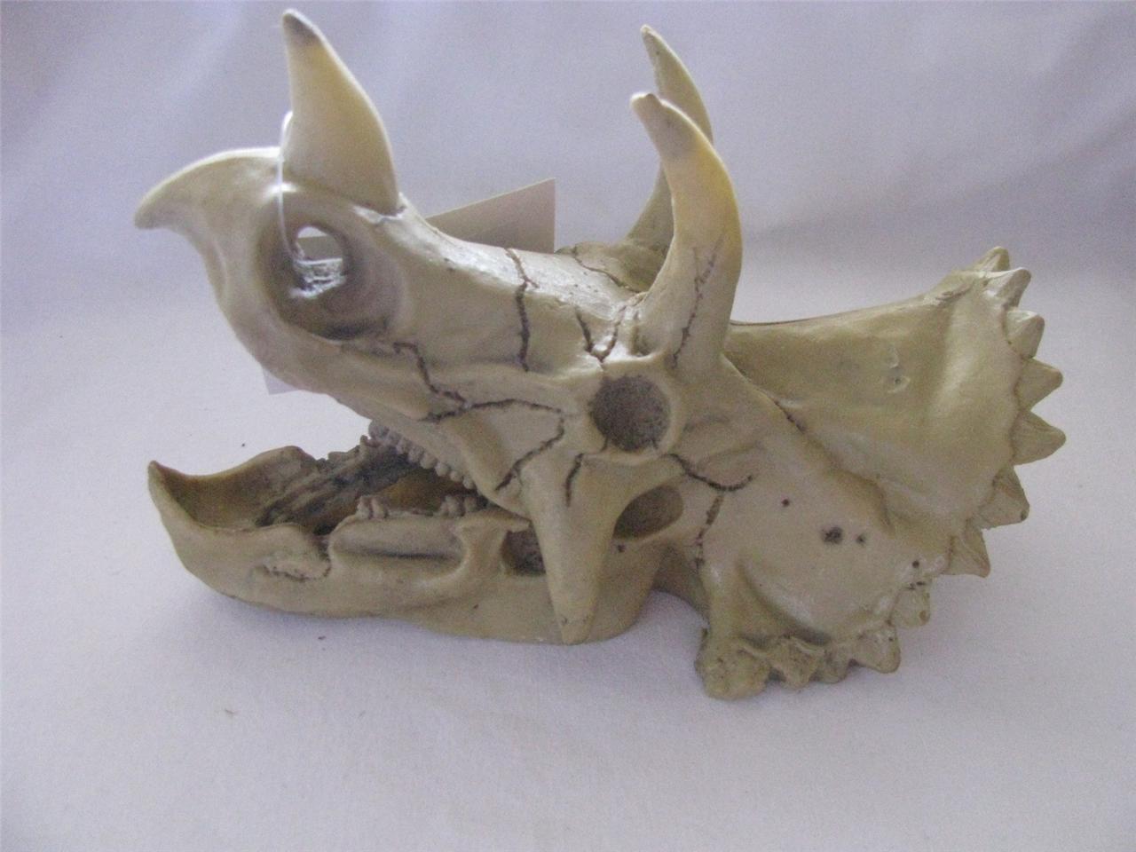 Skull, reptile enclosure furniture, ornament, dinosaur prehistoric
