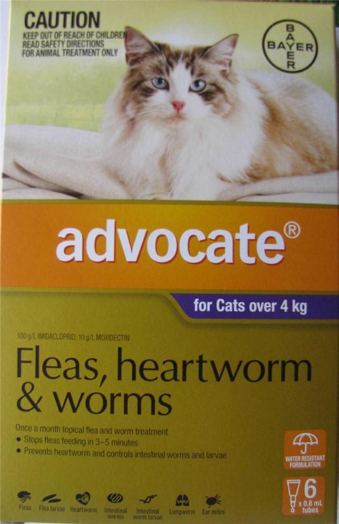 17 How Does Advocate Kill Fleas