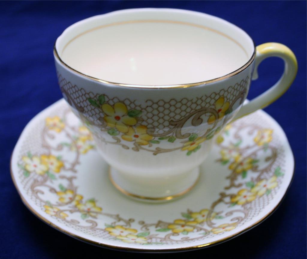 LOVELY VINTAGE SALISBURY FINE BONE CHINA TEA CUP SAUCER MADE IN ENGLAND lovely-vintage-salisbury-fine-bone-china-tea-cup-saucer-made-in-england