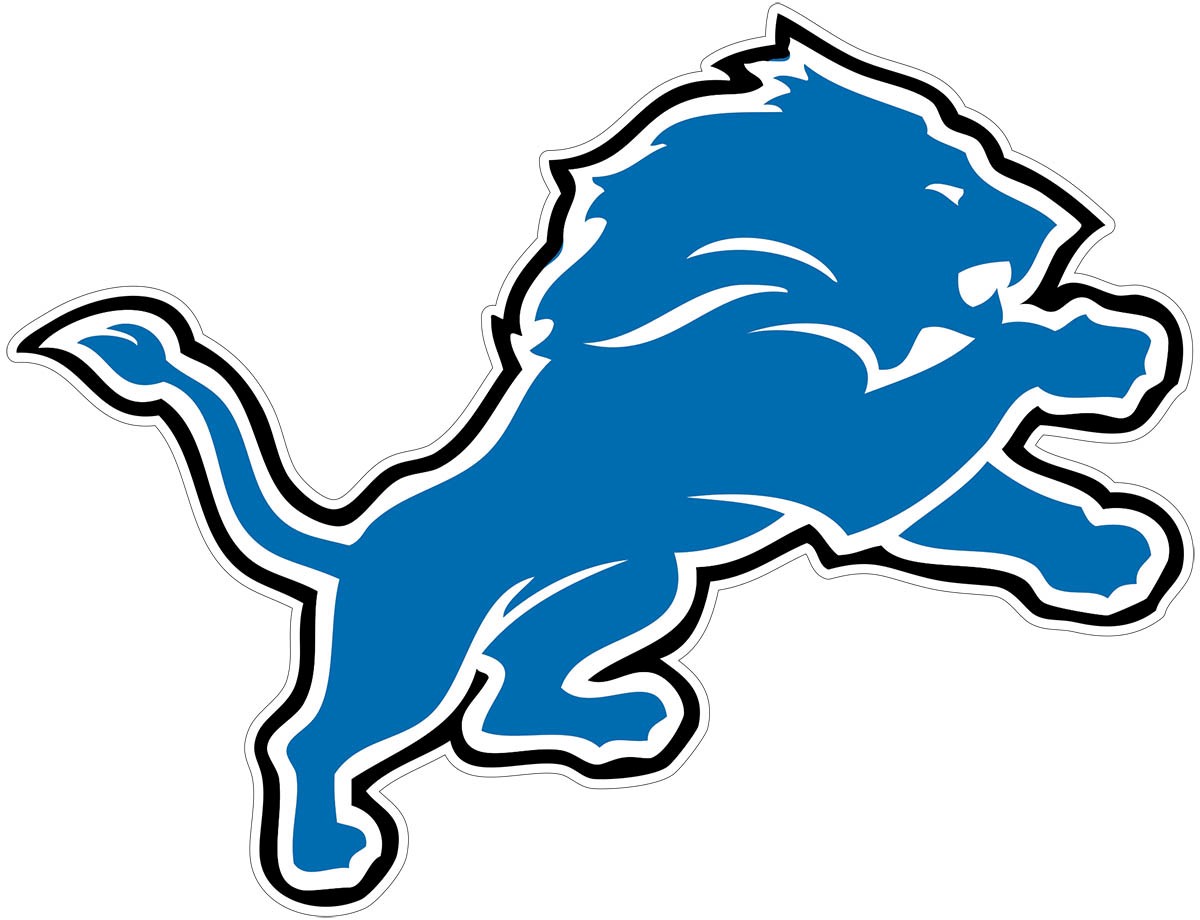 DETROIT LIONS Vinyl Decal CHOOSE SIZE nfl team logo car window helmet