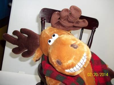 dan dee animated horse