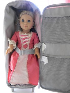 18 doll carrying case