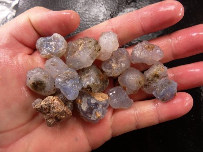 Ellensburg+Blue+Agate+Value Details about TSL - ELLENSBURG BLUE AGATE Nuggets - 132 grams - Rare ...