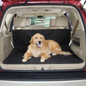 Dog ramp for honda crv #7