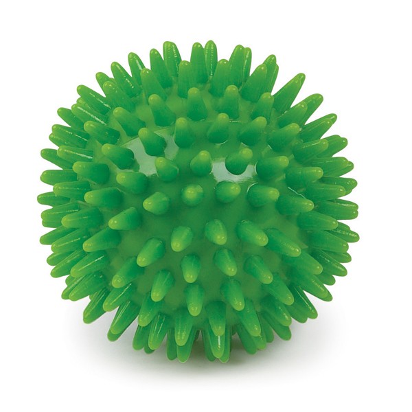 spiky ball toy