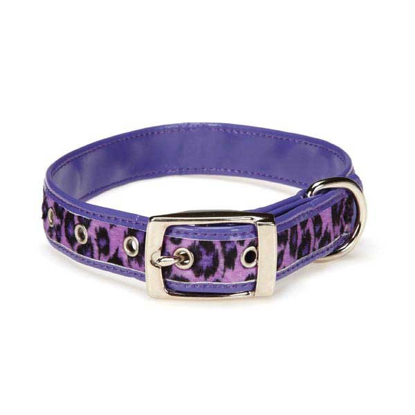 East Side Collection Vibrant Leopard ULTRA VIOLET Dog Collar or Leash