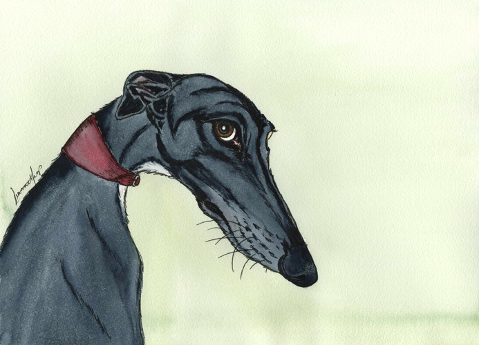 PAINTING GREYHOUND LURCHER WHIPPET ITALIAN BRINDLE 6548 ...