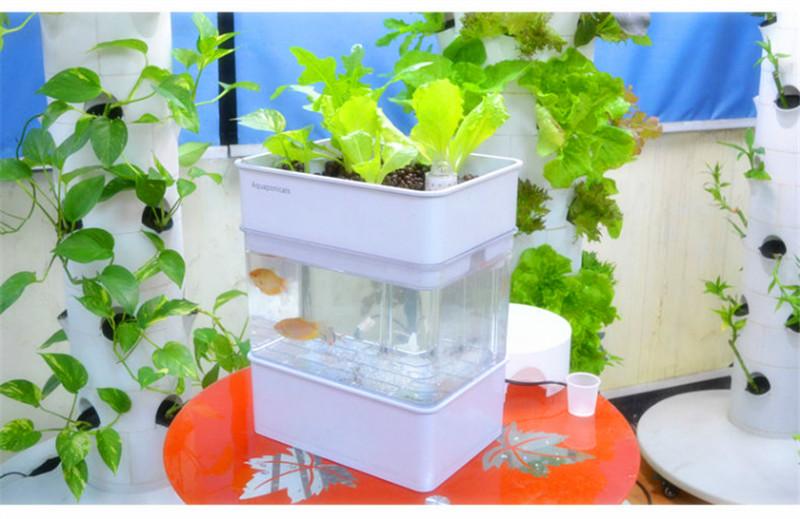 New Indoor Aquaponics System Fish Bowl Jar Water Cultivation Farming