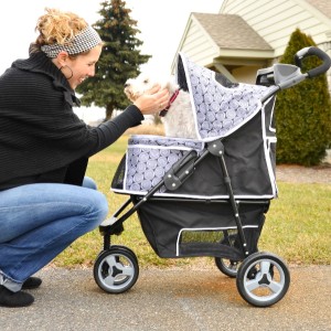 Gen7 Pets Promenade Pet Dog Cat Stroller Travel New Safety Designer 2 Colors eBay Gen7 Pets Promenade Pet Dog Cat Stroller Travel New Safety Designer 2 Colors eBay