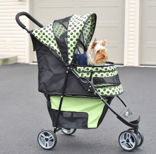 Gen7 Pets Regal Pet Dog Cat Stroller Travel New Safety Designer 3 Colors  eBay