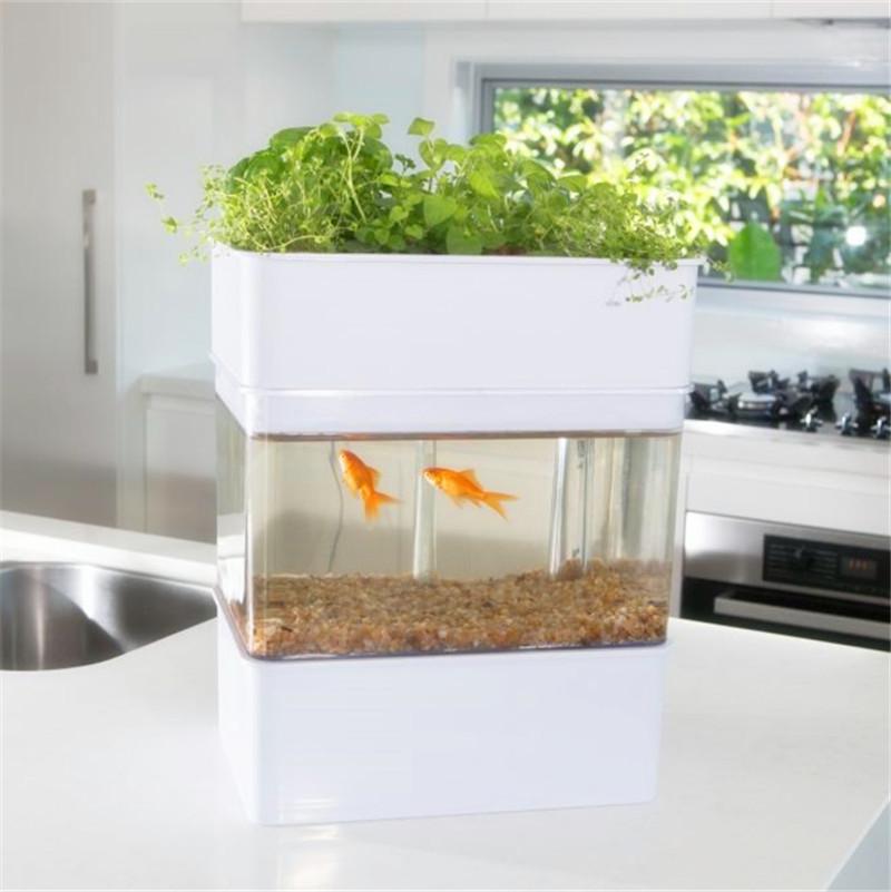 New Aquaponicals Indoor Aquaponics System Fish Bowl Jar ...