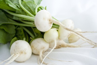 RADISH-HAILSTONE-seeds-V77