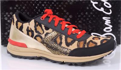 sam edelman dax leopard sneakers