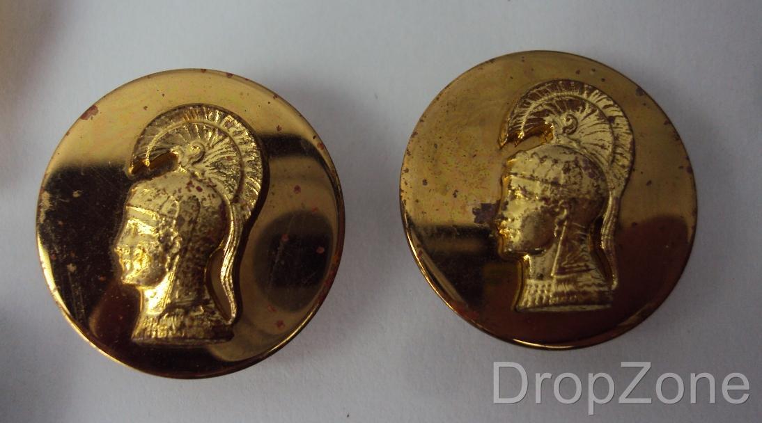 US Women's Army Corps WAC Collar Insignia Assorted, Subdued, Enlisted