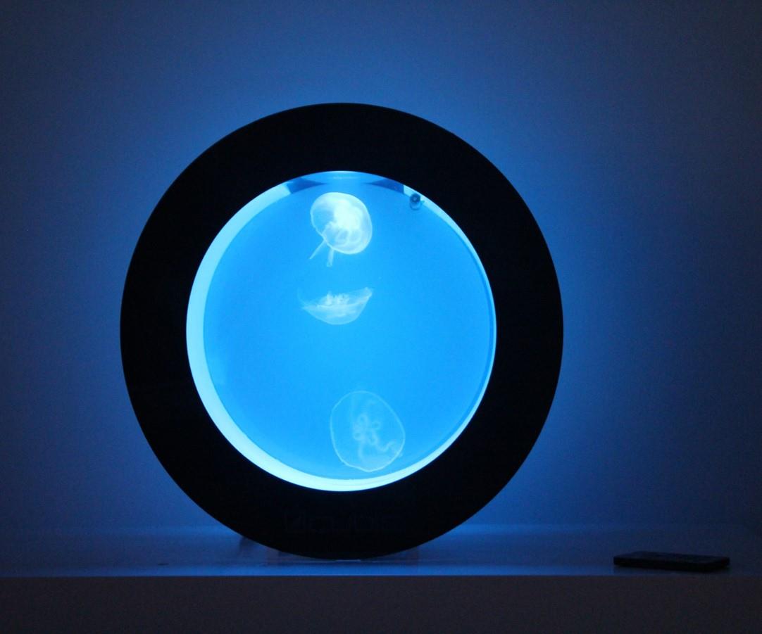 CUBIC ORBIT 20 JELLYFISH WHITE ACRYLIC AQUARIUM 6 G TANK MOON JELLY