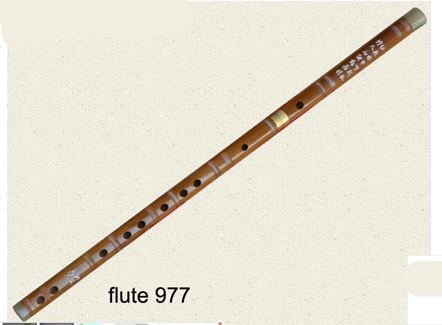 Traditional Chinese Bamboo Flute/dizi in A/B/C/D/E/F/G Key+Flute Case Box+Dimo eBay