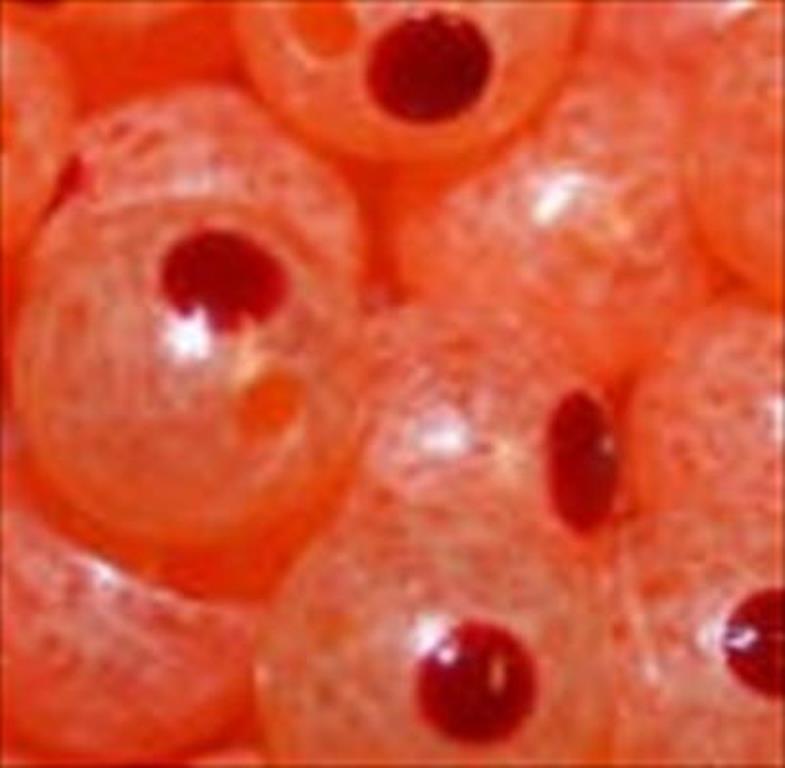 TroutBeads Blood Dot Eggs Trout Beads Fishing Bait Asst Colors Size 6 8