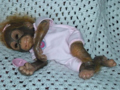 little umi monkey doll