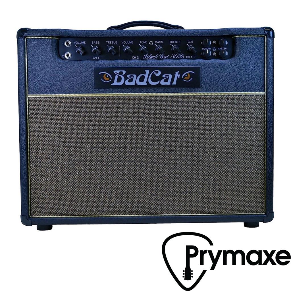 Bad Cat Amplifiers Black Cat 30R Combo Amp BRAND NEW! AUTH DLR! eBay