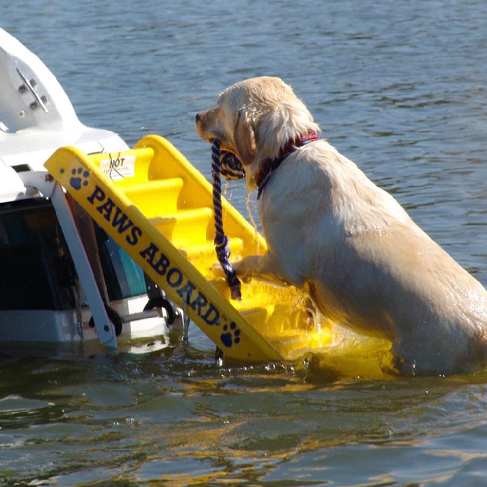 Paws Aboard Dog Boat Ladder Slip Resistant Portable Doggy Boarding Step