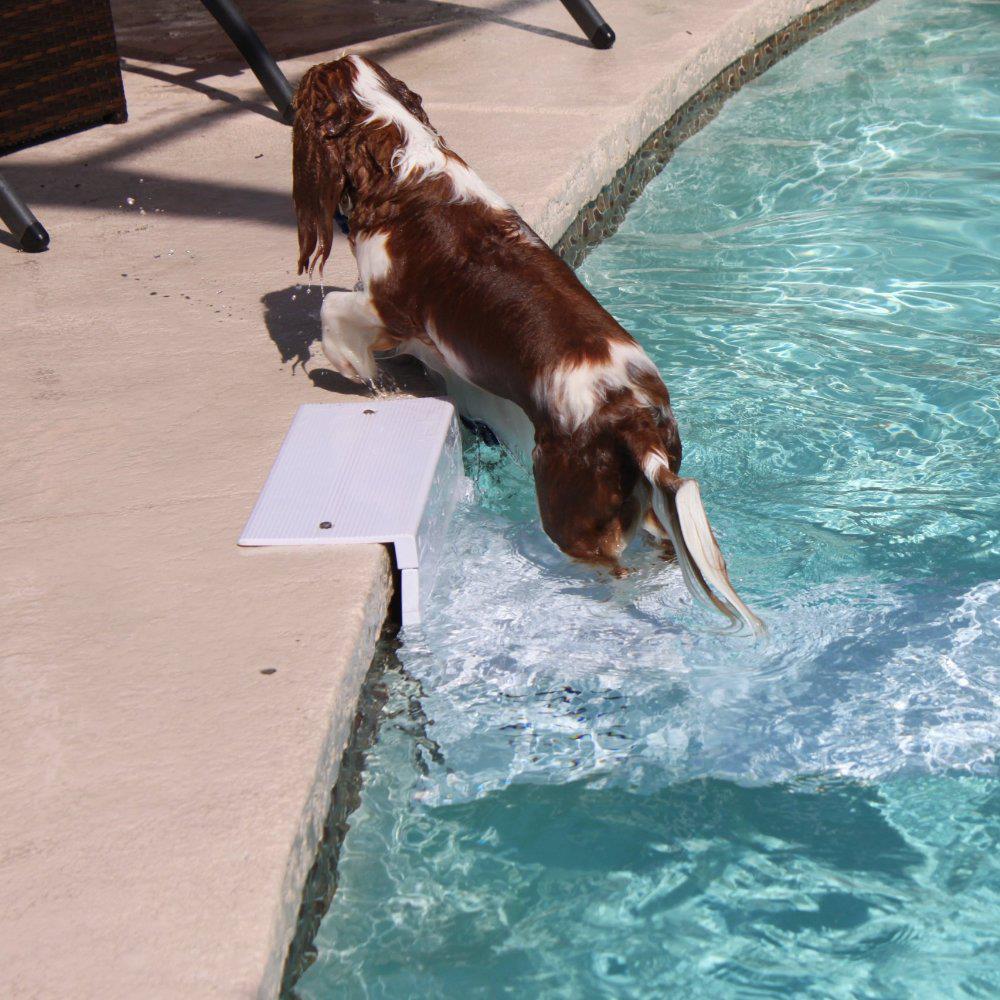 Swimming Pool Pup Steps Pool Ladder for Small to Large Dogs Safety Step Ramp eBay